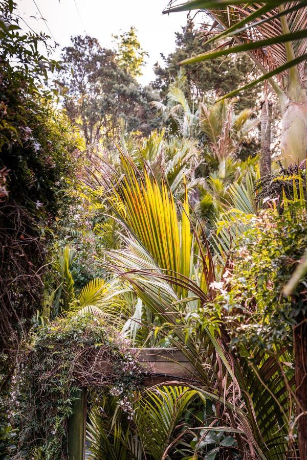 Villa Boho Hill Waiheke Island à Palm Beach Extérieur photo