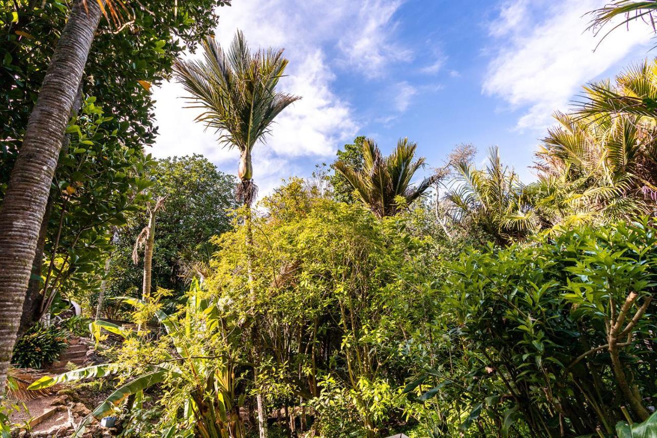 Villa Boho Hill Waiheke Island à Palm Beach Extérieur photo