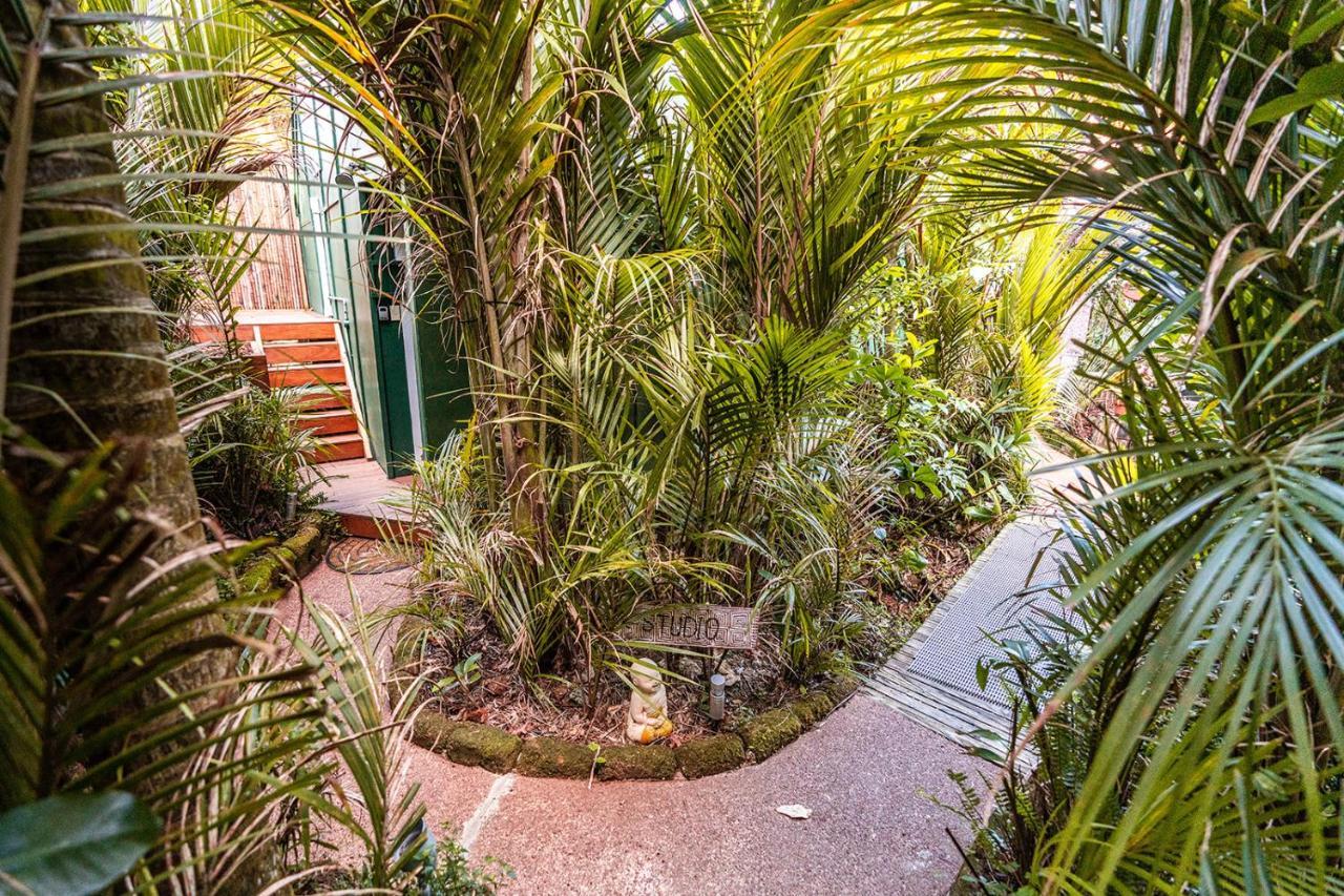 Villa Boho Hill Waiheke Island à Palm Beach Extérieur photo